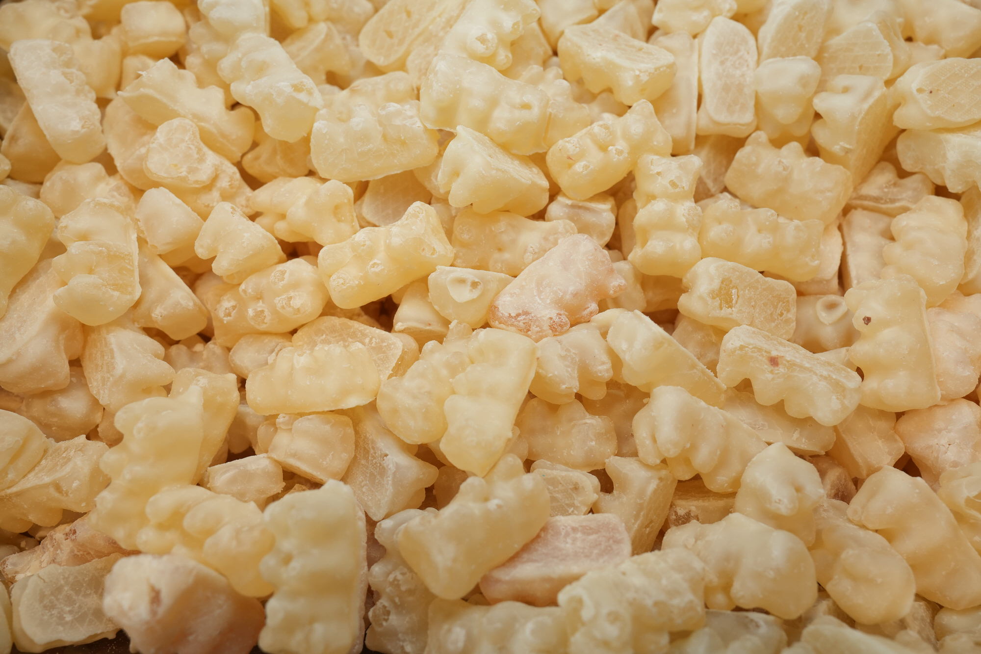 Milk Chocolate Gummy Bears