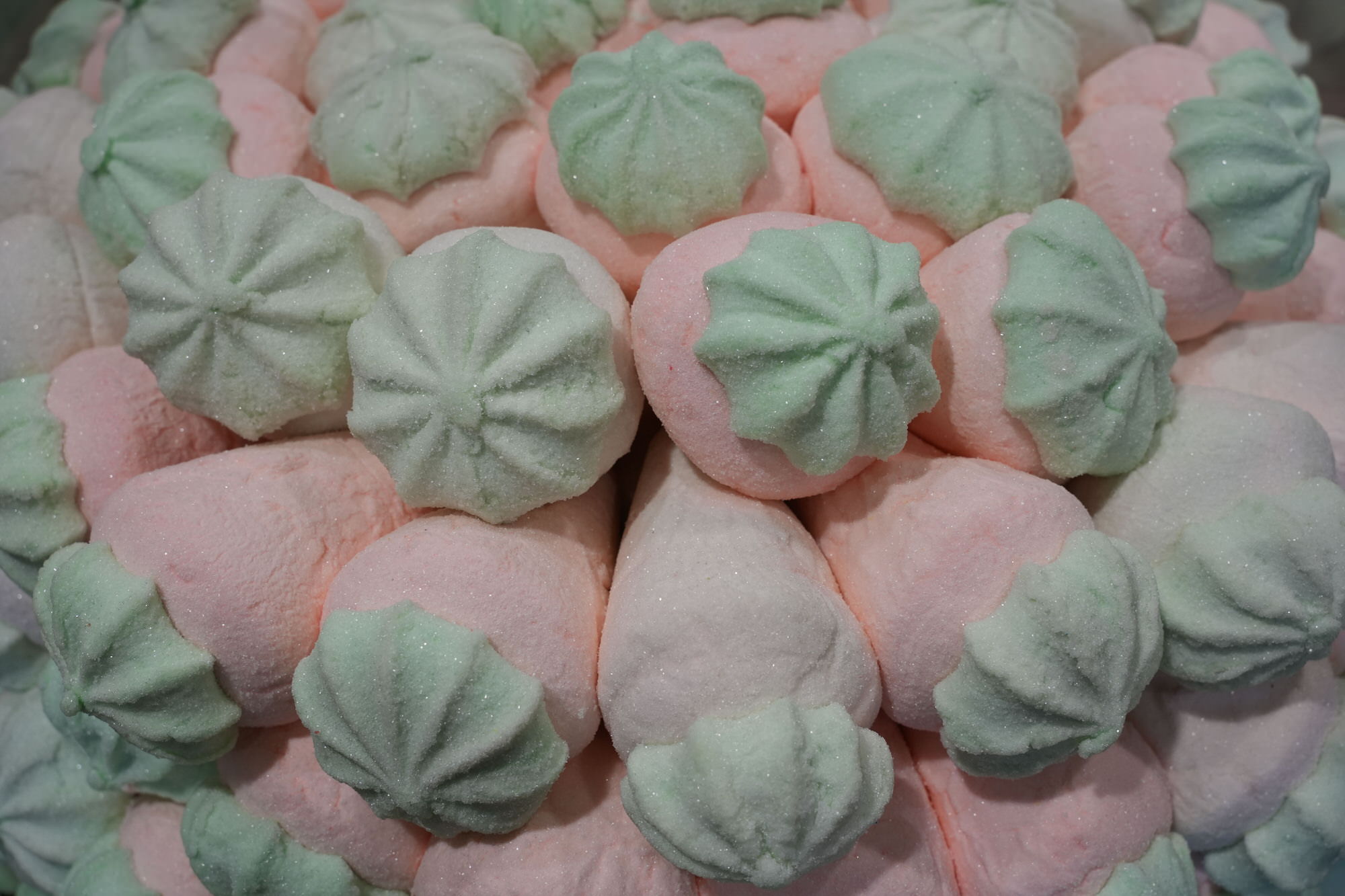 Giant Strawberry Mallow