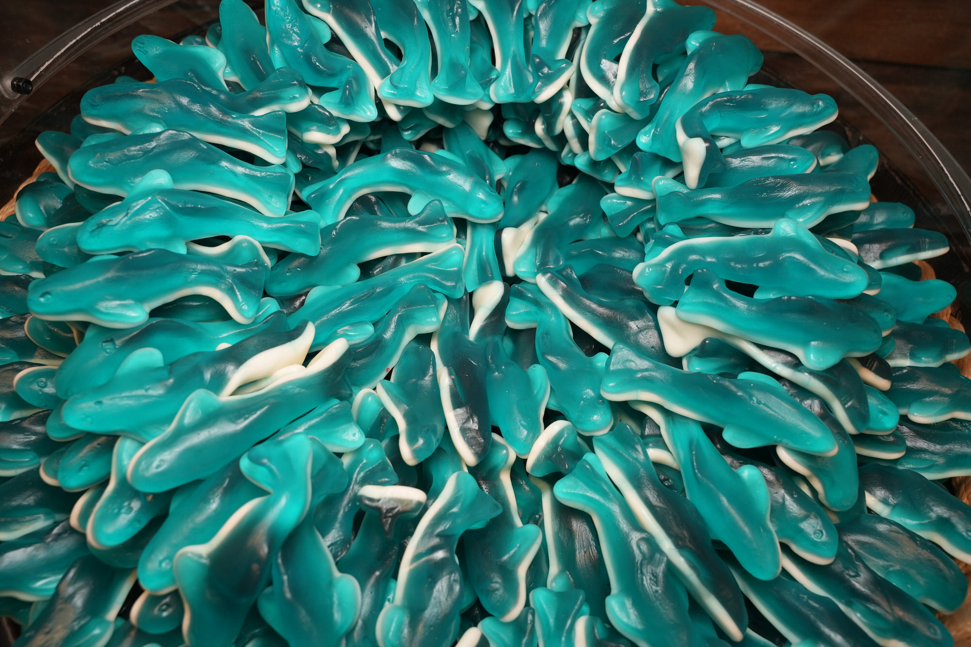 Gummy Killer Sharks