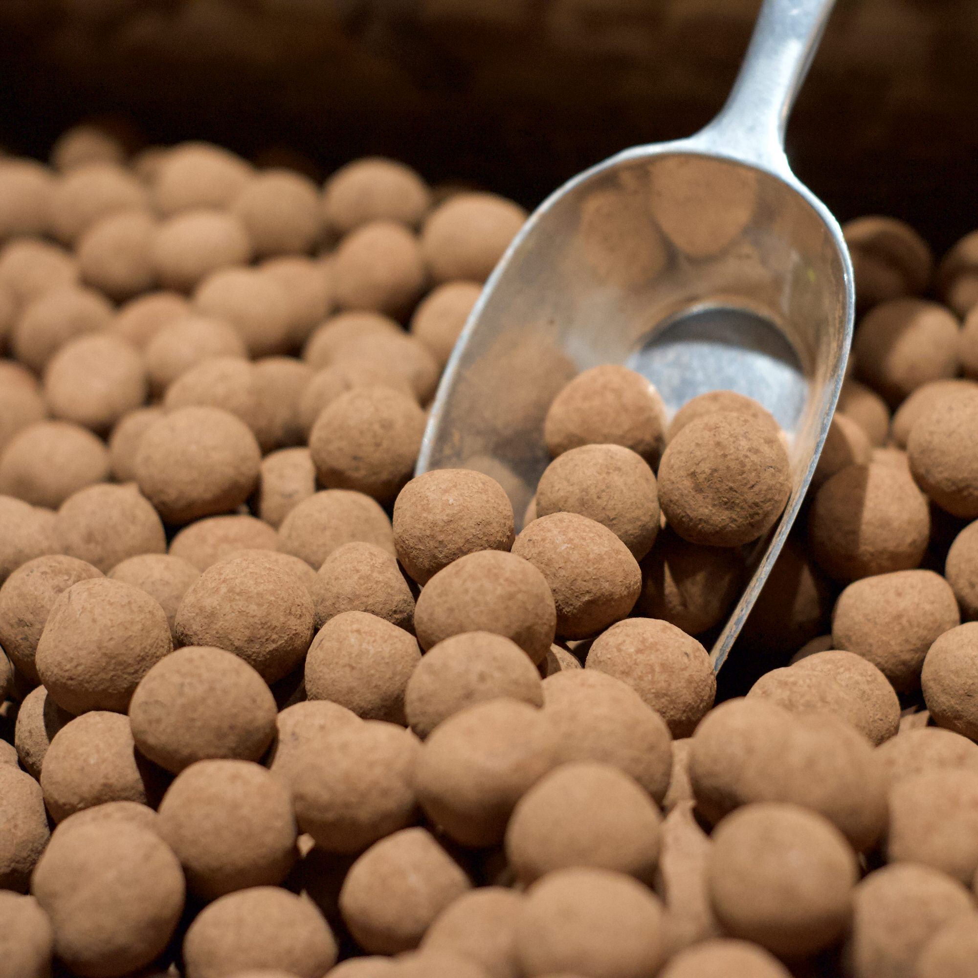 Cocoa Dusted Milk Choco